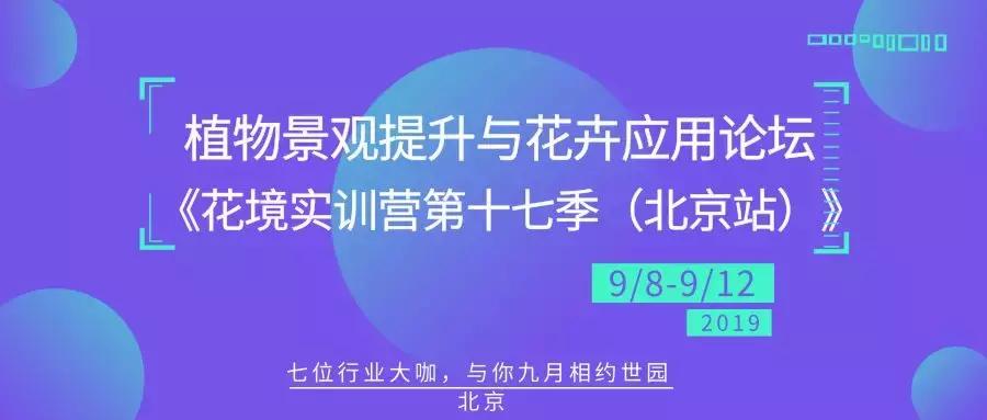 植物认知|佛系植物，五树六花