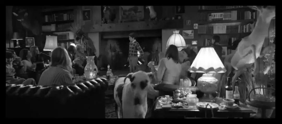 奥斯卡评选20世纪100部电影,奥斯卡10个奖项