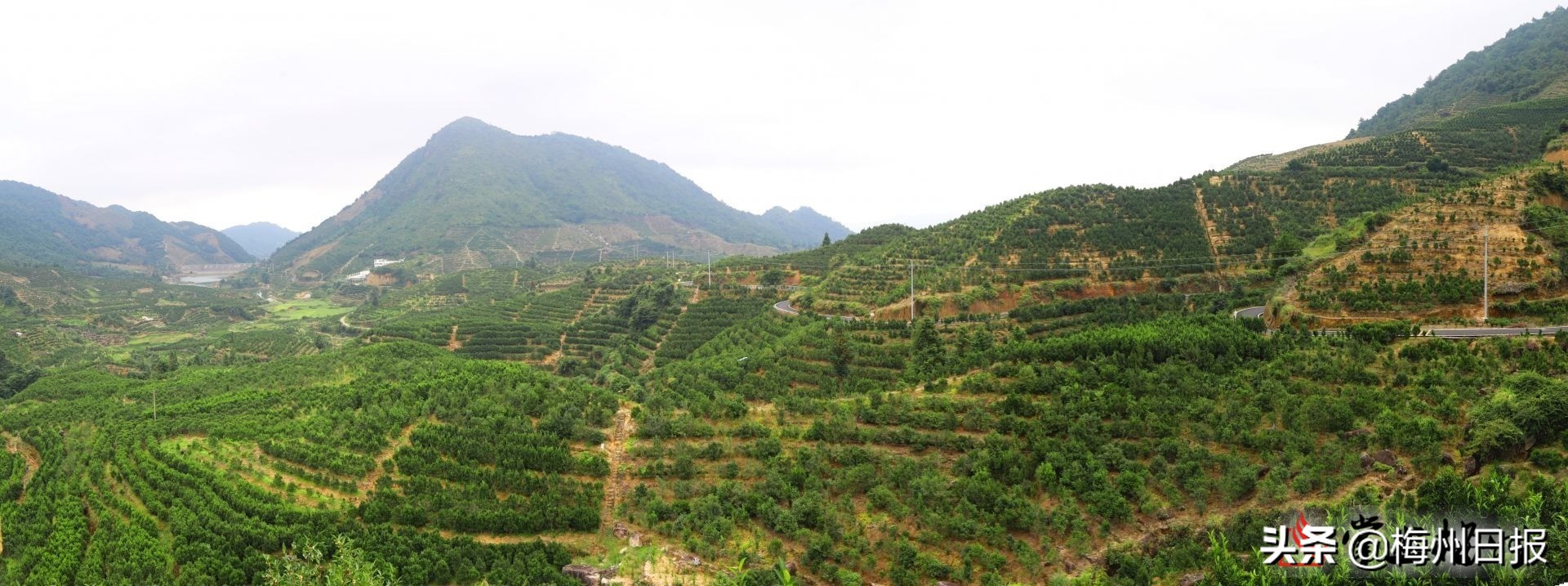 吴晖朱少辉率*党**政代表团赴丰顺大埔学习考察：学经验补短板，铆足干劲迎头赶上
