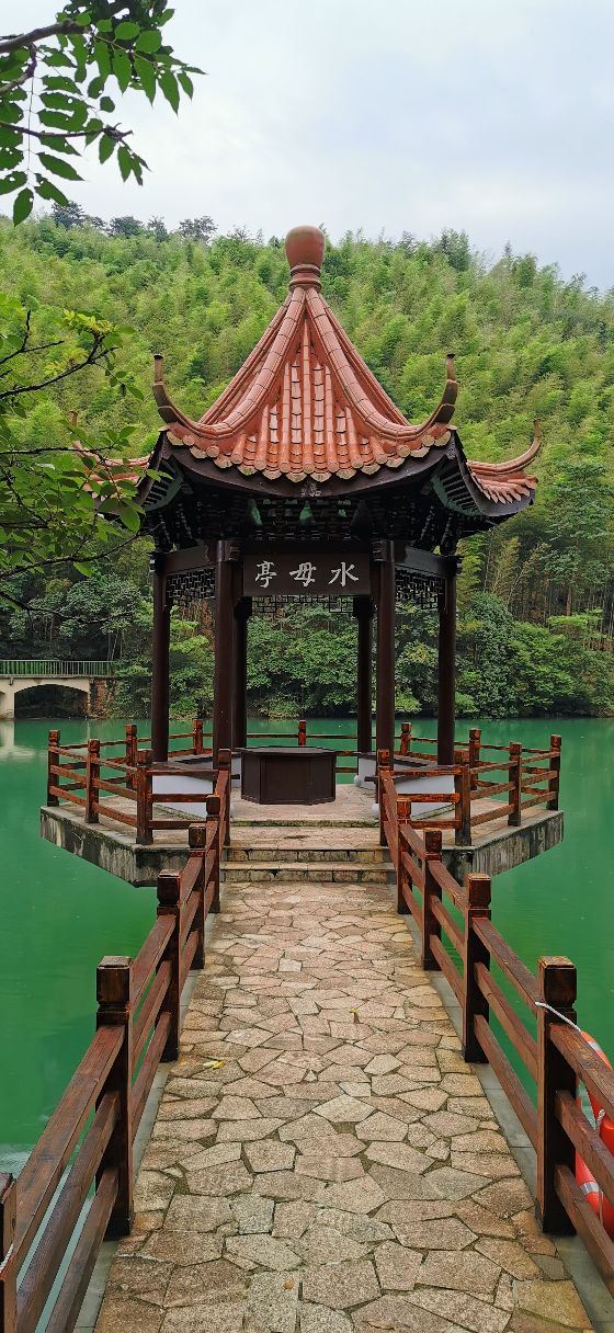 宜兴竹海自然风景图片,清新的竹林风景图片