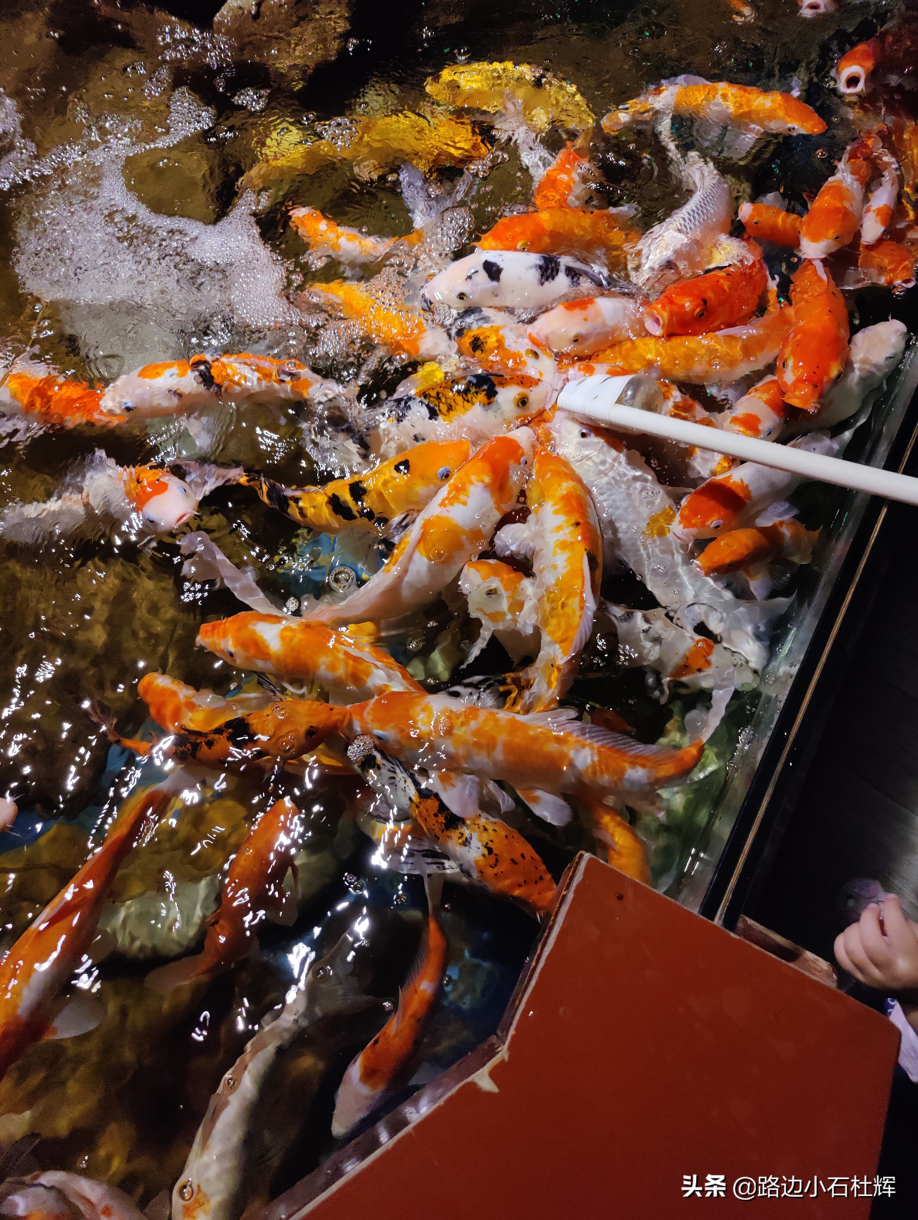 北京海洋馆海底世界游玩攻略,海洋馆北京海底世界游玩路线