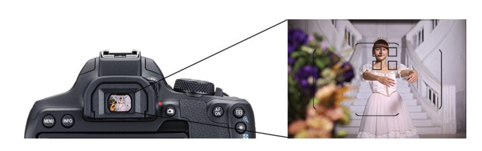 佳能最新款单反850d,佳能850d入门级单反相机展示