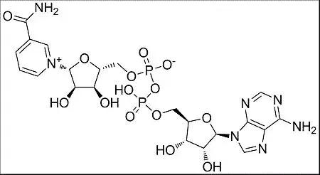 用theordinary过敏怎么办,theordinary烟酰胺没有刺痛感