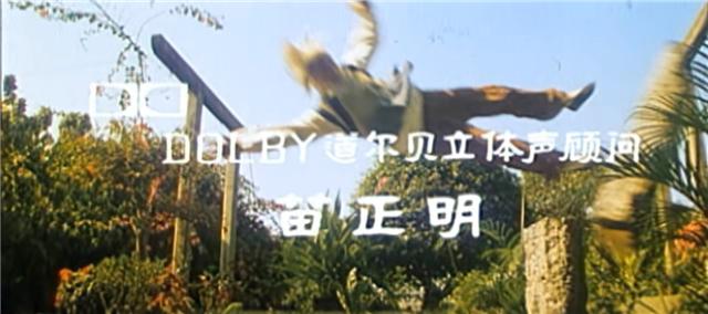 回忆经典动作片名场面,几代人童年记忆的经典武打动作片