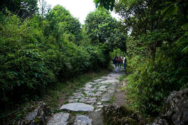 小平故里到华蓥山花海人家要多远,广安华蓥山小平故里