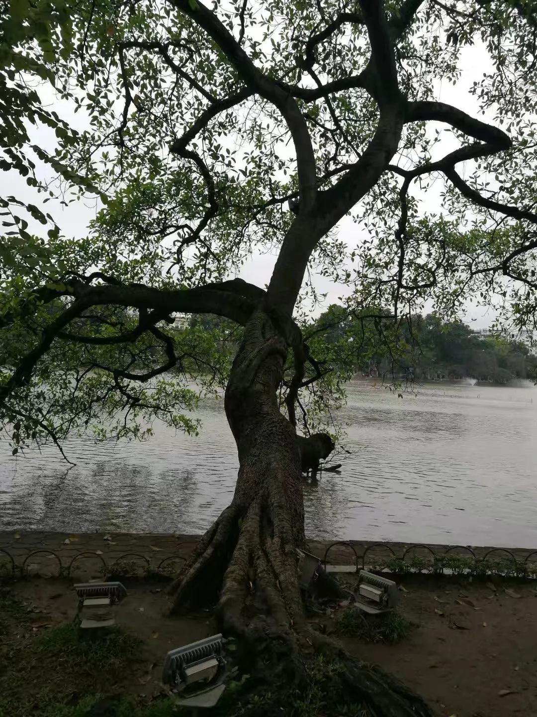 越南自由行英语,越南河内一日游自由行攻略