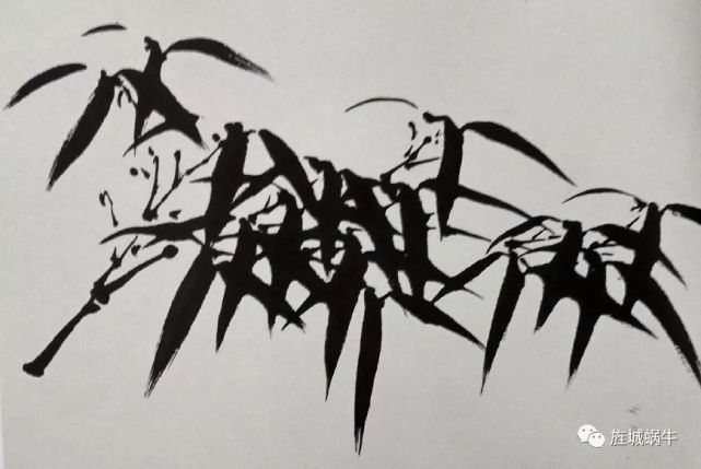 竹叶的画法模板,竹叶的钢笔画法