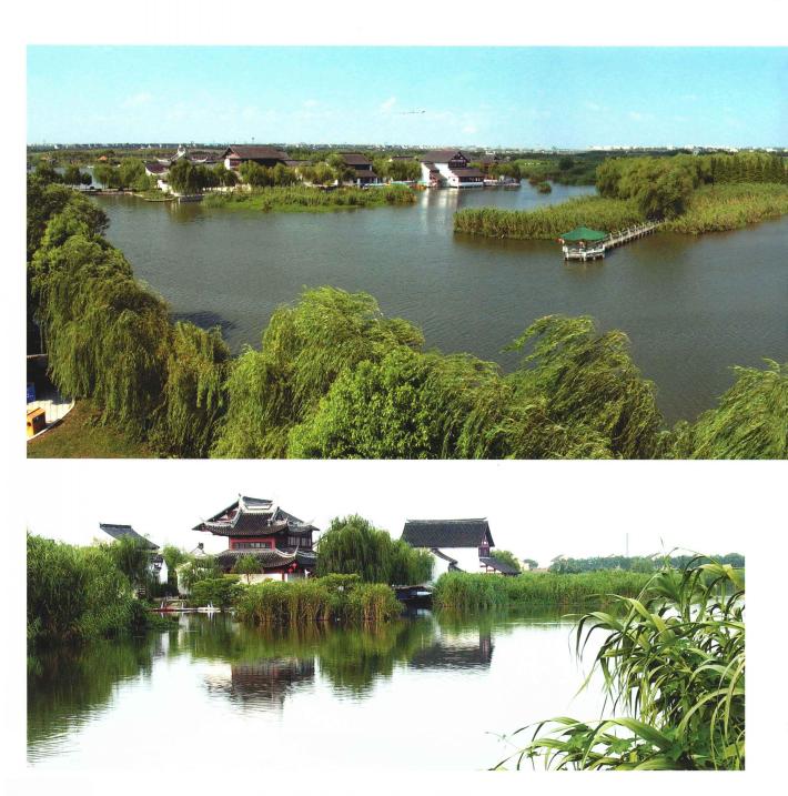 沙家浜真实地点,真正的沙家浜在哪里