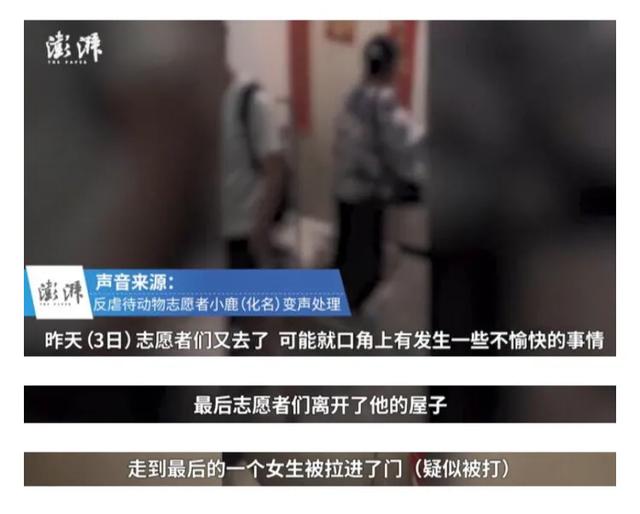 金毛被男子疯狂虐待，志愿者被威胁报复，有些人内心到底有多黑暗