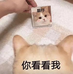 2分钟快速燃脂大法,生酮快速燃脂