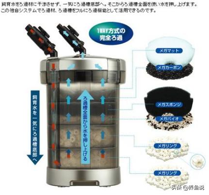 鱼缸水浑浊用什么过滤最好,底部过滤鱼缸水浑浊变清的方法