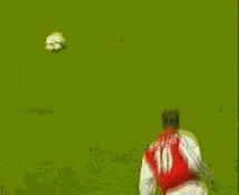 阿森纳冰王子博格坎普,冰王子博格坎普阿森纳进球数