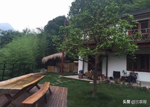 八个适宜在农村创业致富的项目,适合农村做的项目投资少见效快