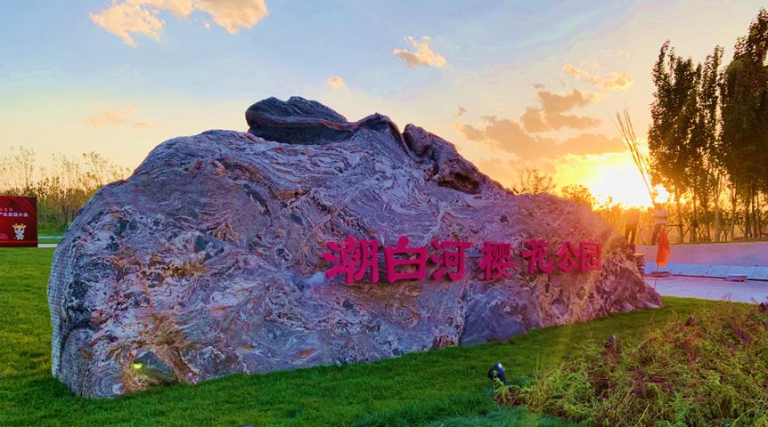 四十而已未来可期,三十而已未来可期余生越来越好