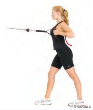 平板支撑塌腰是哪里弱,如何正确做到平板支撑