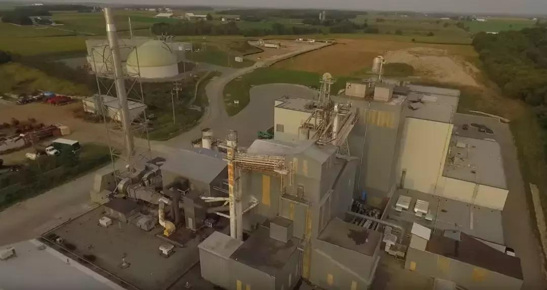 又被骗了，很多进口猫狗粮是同工厂做的，只有包装和详情页不一样