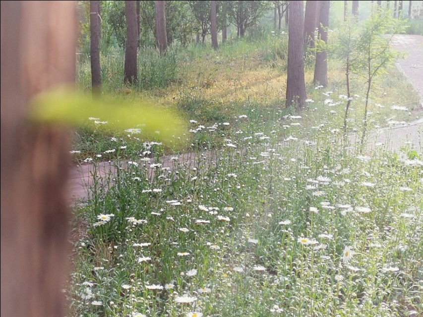 山东莒县重点发展,莒县近五年发展变化