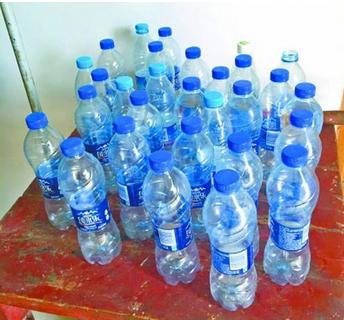 假如世界末日只能救一个人,假如末日来临你只能解救一个动物