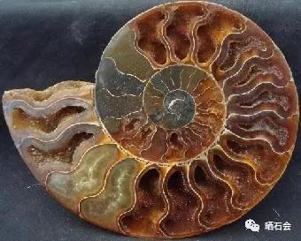 新疆的哪个戈壁滩可以捡石头,戈壁滩捡石头鉴别方法