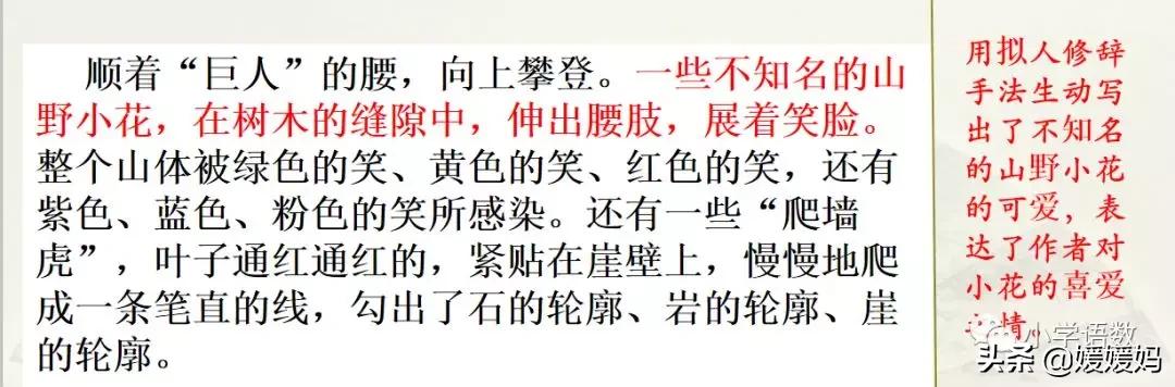 四年级下册第五单元作文500字游山,四年级第五单元初试身手作文400字