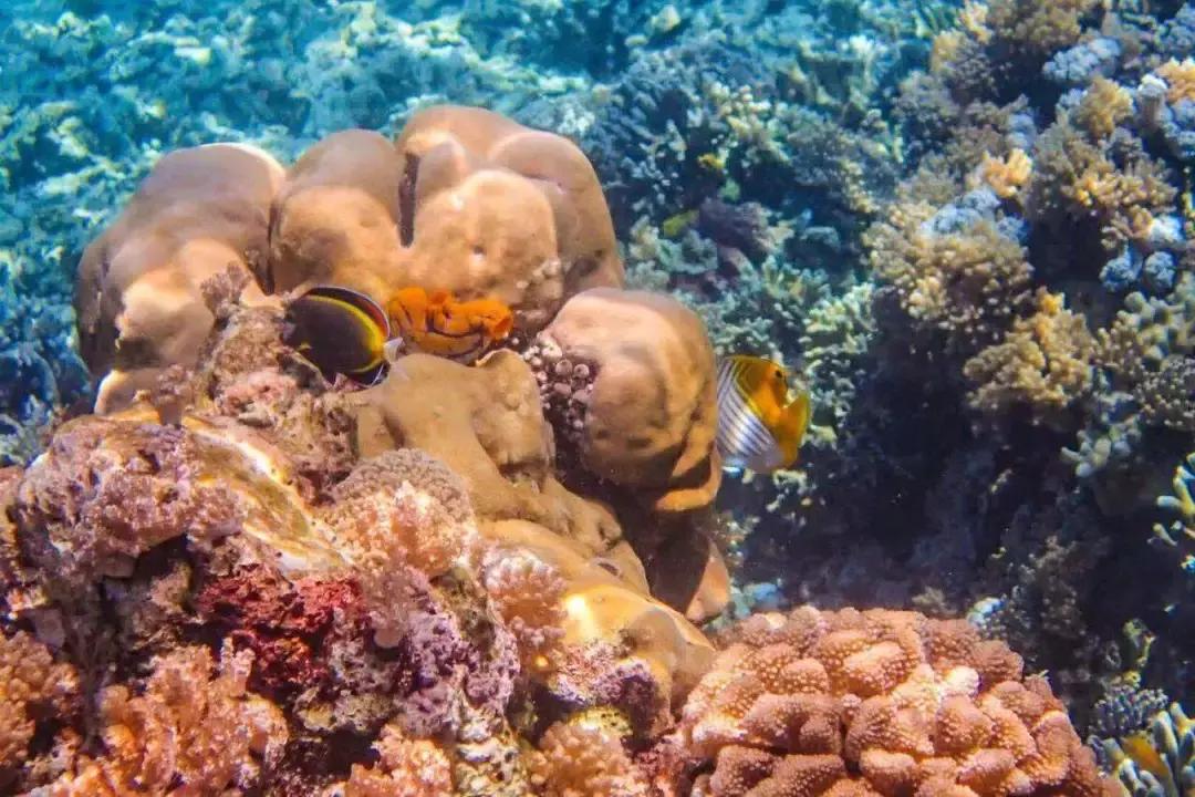 不出国门异域风光,不出国门就能看到各地风情