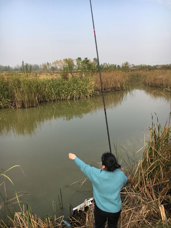 为什么鱼线老是从竿稍打结处断,为什么竿断了鱼会跑