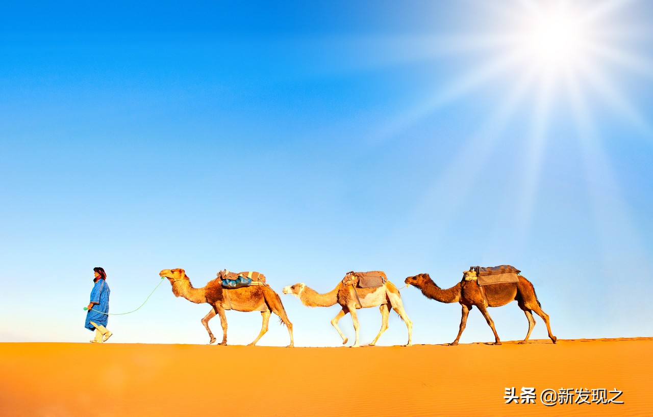 涓栫晫鍗佸ぇ娴锋哗搴﹀亣鑳滃湴,鍏ㄧ悆鍗佸ぇ鍐叉氮鑳滃湴