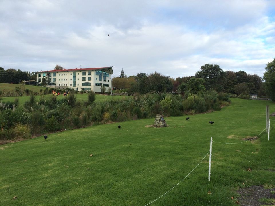 新西兰移民专业学校,新西兰留学热门院校推荐