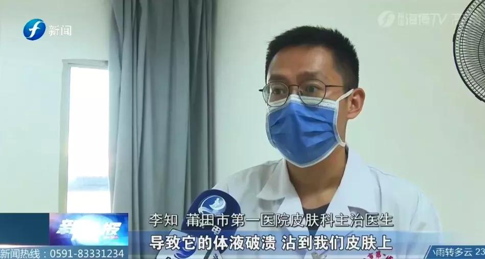 户外远离虫子的方法,哪些虫子在户外小朋友是不能碰的