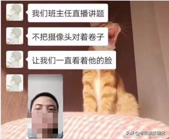 大型网课翻车现场小朋友,小学生网课大型翻车现场没关麦