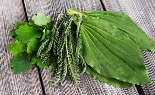 白带增多是因为快来月经了吗,白带增多意味着什么