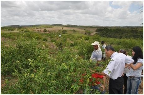 汤臣倍健螺旋藻,汤臣倍健螺旋藻是酸性还是碱性的