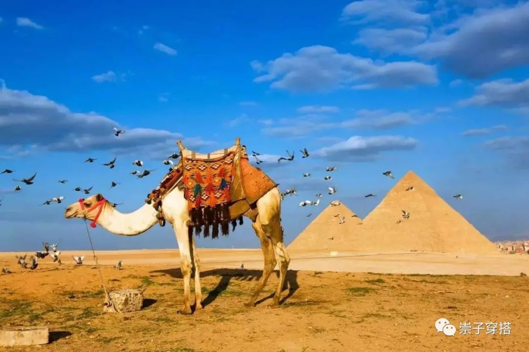 男生如何去理发店选择合适烫发,理发店一般推荐哪种烫发