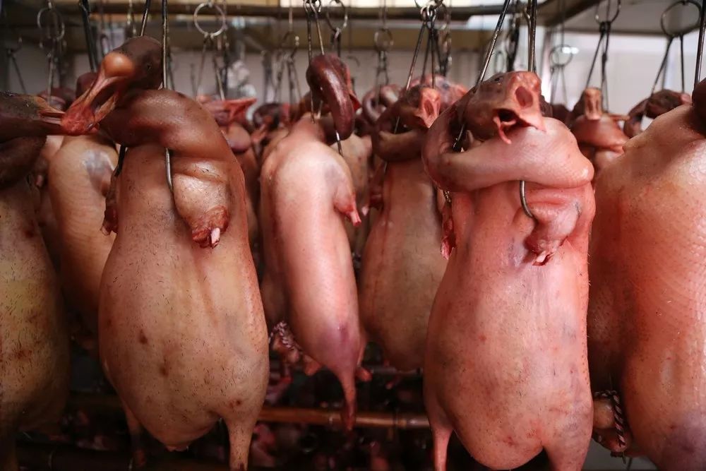 淘宝好吃的肉类推荐,淘宝吃货里面的产品好吗