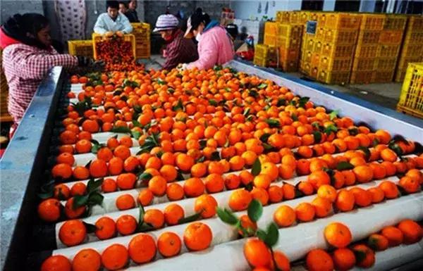 广东四会翡翠玉石源头,四会玉器之乡在哪里