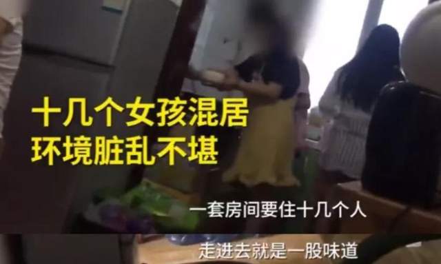 一颗卵子值100,卵子捐卵