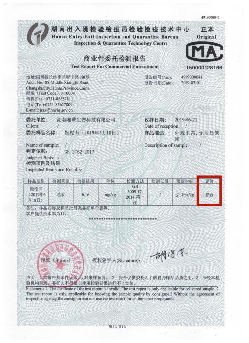 新鲜姬松茸菇怎么挑选,特级正宗松茸