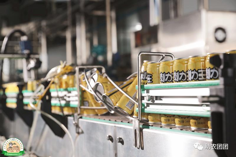 助农团团花溪直播,刺梨原汁精品