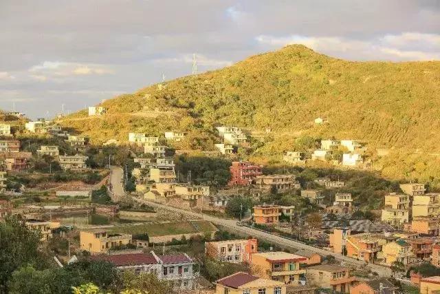 浙江舟山嵊泗岛可以做饭的民宿 (嵊泗花鸟岛夕岛1026民宿)