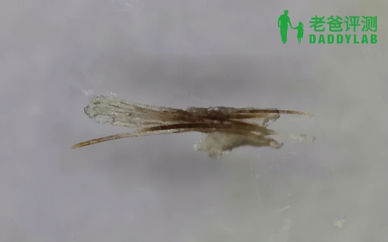 正确科学的去黑头方法一次说清楚,正确的去黑头的方法在这里