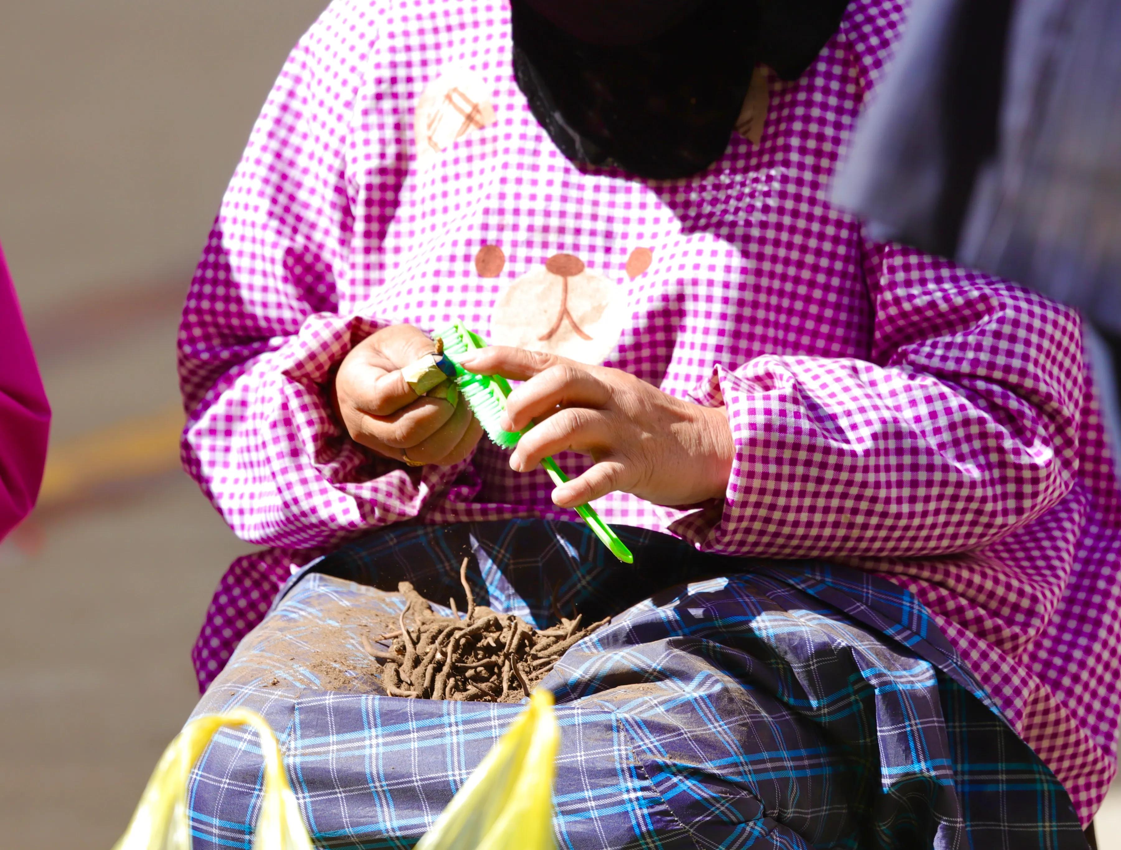 中国最大虫草市场,全国最大冬虫夏草集散地
