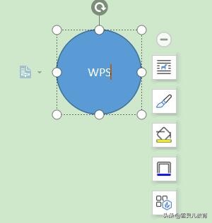wps如何把圆形图标插入文字,wps圆形图表加文字