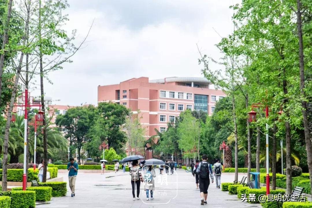 我眼中的云南财经大学,母校云南财经大学
