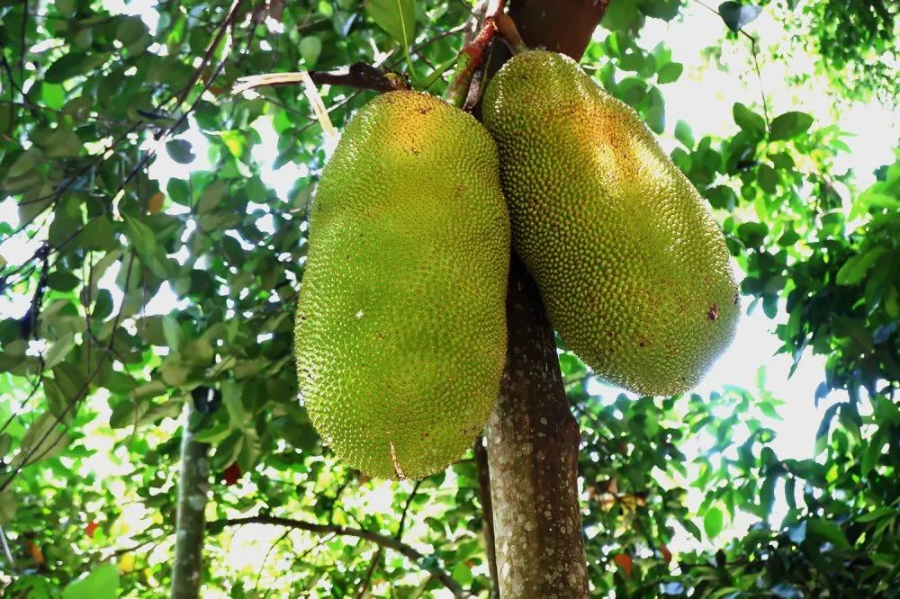 世腾控股集团怎么样,世腾控股