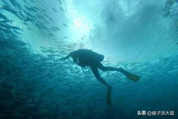 魔都大型解压游乐场,魔都摩天滑梯