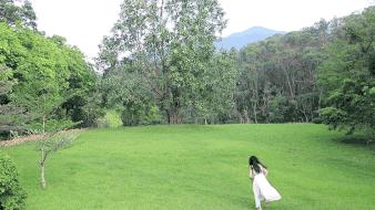 深圳市十大游玩攻略,深圳四天游攻略最佳路线