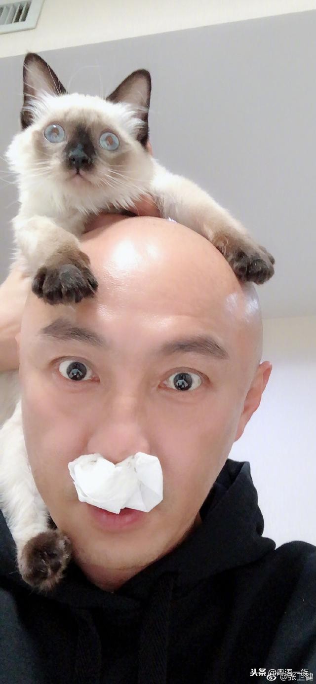 tvb跳跃生命线第25集好感人的画面,跳跃生命线1-25集中出现过插曲