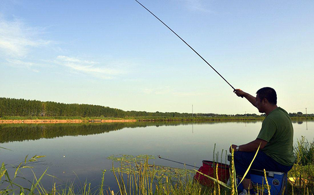 农村钓鱼自制饵料,在农村钓鱼最简单的鱼饵