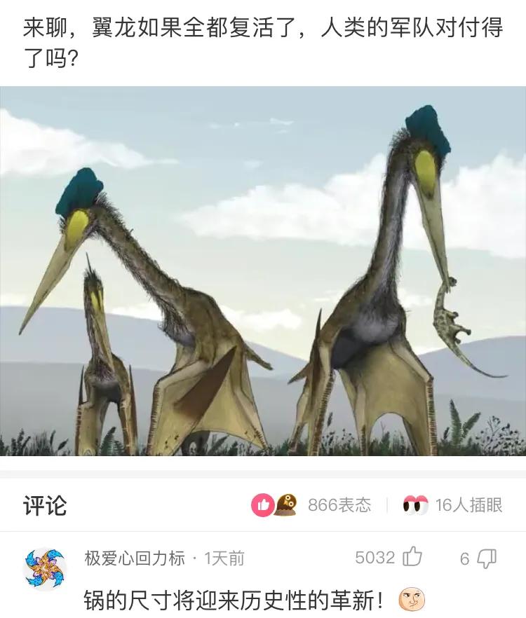 那些网友的神回复,那些网友们的神回复