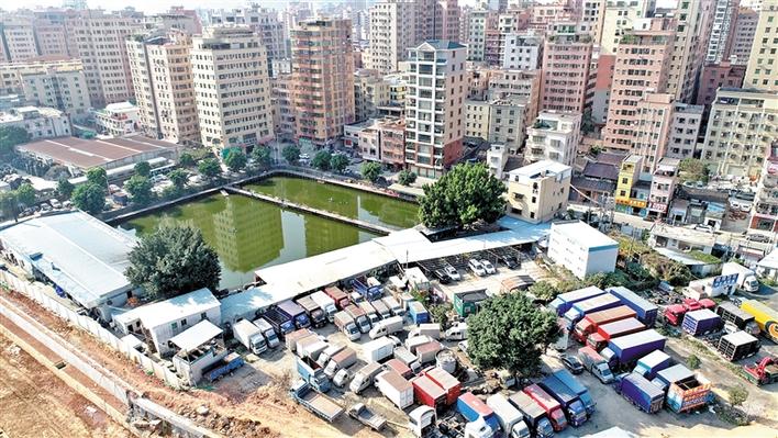 从“脏乱差”到“美如画”玉塘龙湾新村实现“华丽转身”